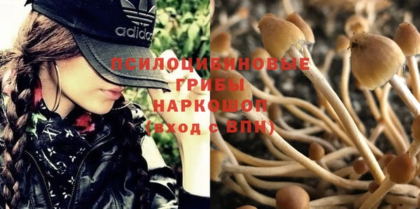 mdpv Алзамай