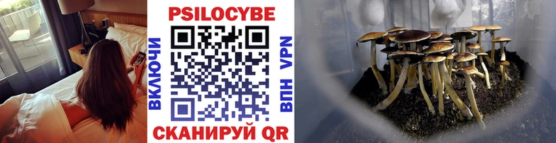 ОМГ ОМГ онион  Севастополь  Галлюциногенные грибы GOLDEN TEACHER 