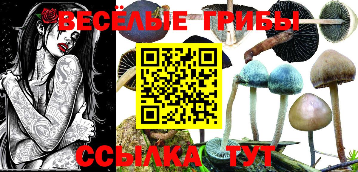 Галлюциногенные грибы GOLDEN TEACHER Севастополь